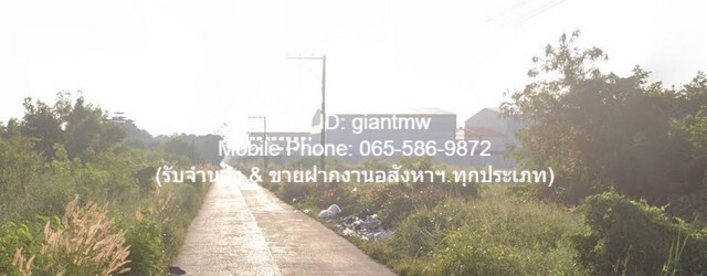 ที่ดิน ที่ดิน หลักหก ปทุมธานี 0 ตร.วา 0 งาน 3 RAI  60000 THB ใกล้กับ ห่างถนนกำแพงเพชร 6 ประมาณ 900 เมตร VERY GOOD ปทุมธานี