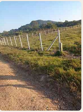 ขายที่ดิน หลังมหาวิทยาลัยแม่ฟ้าหลวง อำเภอเมือง จังหวัดเชียงราย