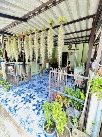 ขายทาวน์เฮ้าส์ 2ชั้น 16 ตรว. หมู่บ้านโกลเด้นเพลส เครือสหพัฒน์ อ.ศรีราชา จ.ชลบุรี