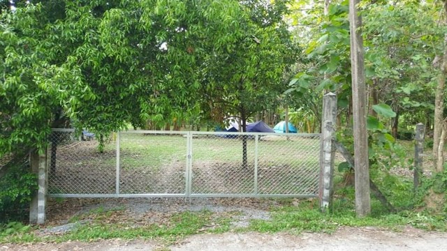 ขายสวนผลไม้ 2 ไร่ ใจกลางสาริกา อ.เมืองนครนายก บรรยากาศร่มรื่นมีต้นไม้ ผลไม้หลากหลาย การเดินทางสะดวกสบาย