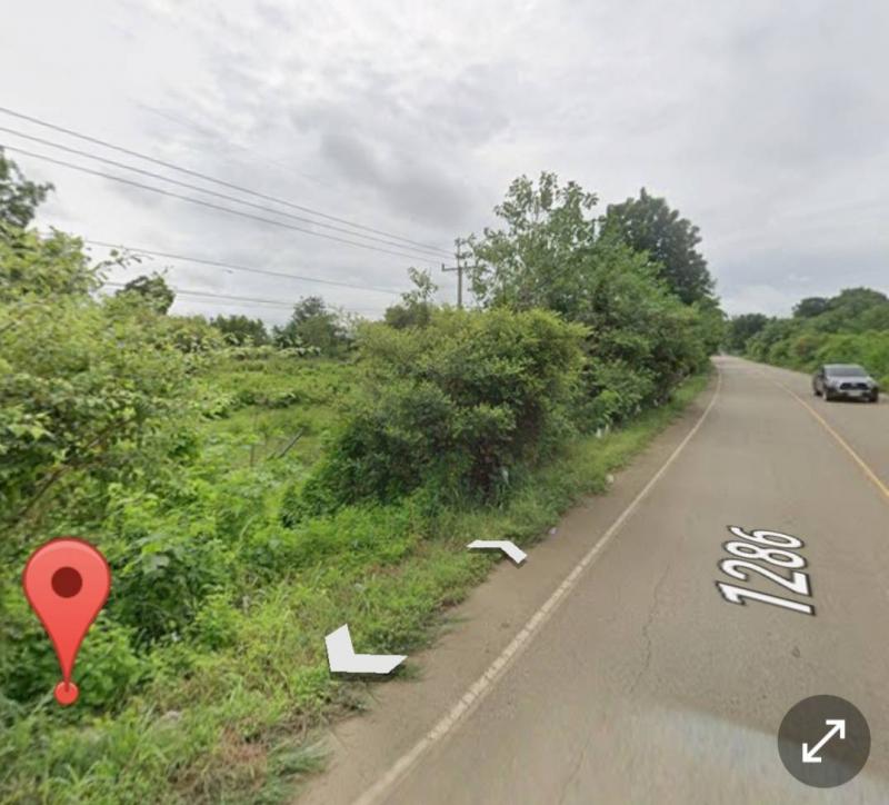 ขายที่ดิน ขนาด 21 ไร่ ทำเลสวย ติดถนน อ.ดงเจริญ จ.พิจิตร