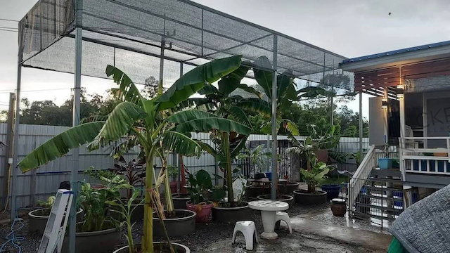 ขาย บ้านพร้อมพื้นที่สวนขนาดใหญ่ มีโรงเรือนปลูกต้นไม้ขนาดใหญ่ บรรยากาศดี พร้อมเฟอร์นิเจอร์