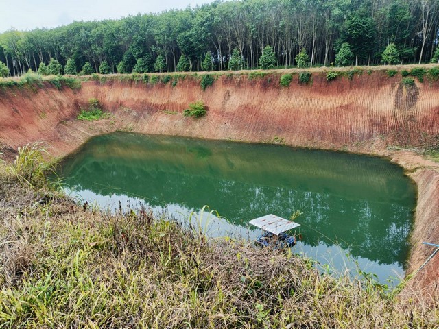 สวนทุเรียนใกล้แหลมแม่พิมพ์ 17 ไร่ไร่ละ 9 แสน อ.แกลง จ.ระยอง