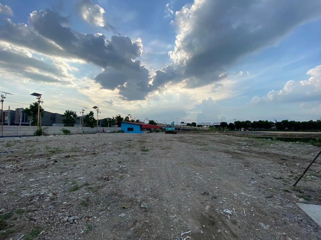 ขาย/เช่าที่ดิน 1 ไร่  ซ.กิ่งแก้ว33  ซ.กิ่งทอง  ราชาเทวะ  สมุทรปราการ  ZT481