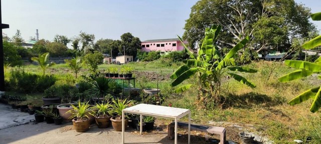 ขายที่ดินเขตสุขุมวิท 62 ใกล้ทางด่วน 4 ไร่ พื้นที่สีส้ม 140 ล้าน