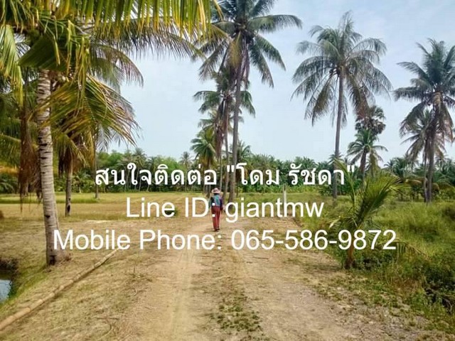 ที่ดิน ที่ดิน ต.สามกระทาย อ.กุยบุรี จ.ประจวบคีรีขันธ์ ขนาดเท่ากับ 5 Rai 2 Ngan 20 sq.wa 1900000 thb ไม่ไกลจาก อยู่ห่างองค์การบริหารส่วนตำบลสามกระทาย และถนนเพชรเกษม (ทางหลวงหมายเลข 4) ประมาณ 800 ม. มือสอง ประจวบคีรีขันธ์