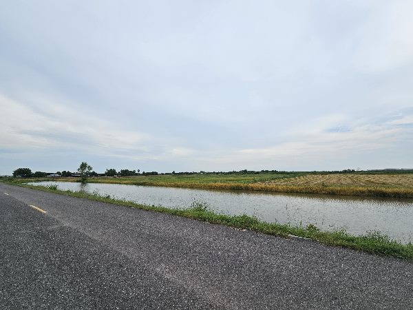 ขายที่ดิน 400 ตร.ว. ที่ดินแบ่งขายที่ คลอง22 ใกล้รร.วัดปากคลองพระอาจารย์ ต.บางสมบูรณ์ อ.องครักษ์ จ.นครนายก