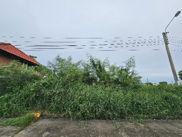 ขายที่ดินเปล่า 75 ตร.ว. ในหมู่บ้านฟลอราวิลล์ พาร์ค ซิตี้ ตรงข้ามโรงงานCPF หนองจอก กทม