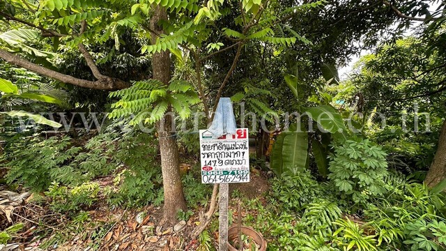 ที่ดิน 147.9 ตารางวา ซอย จรัญสนิทวงศ์ 3 ซอยสมชาย แปลงหัวมุม