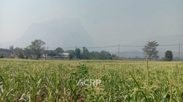 ขายที่ดินติดถนนสายหลัก วิวดอยหลวงเชียงดาว อ.เชียงดาว จ.เชียงใหม่