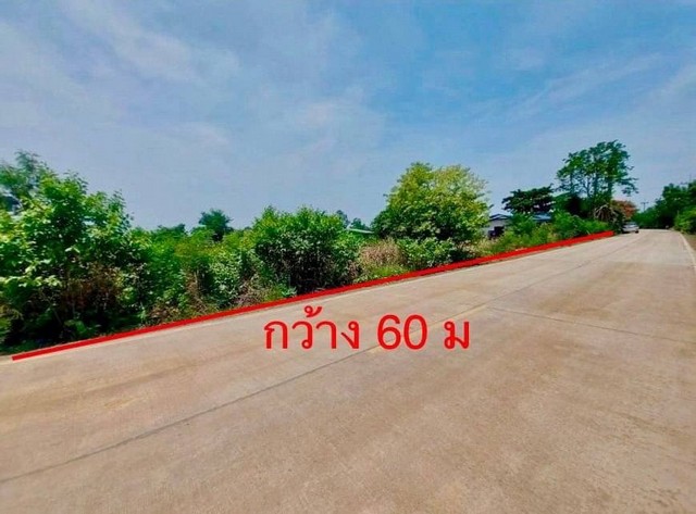 ขายที่ดิน วังน้อย อยุธยา สร้างโรงงานได้ พื้นที่ 14 ไร่ 61 ตารางวา