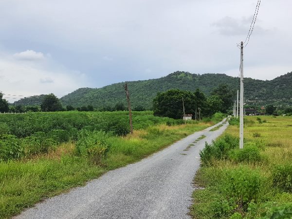 ขายที่ดิน 2 ไร่ ทำเลดี ติดเขา ที่สวย วิวทิวทัศน์สวย แนวธรรมชาติ บรรยากาศดี ต.หนองโอ่ง อำเภออุ่ทอง จ.สุพรรณบุรี