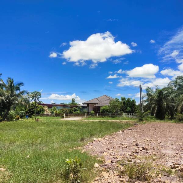 ขายที่ดินเปล่าจำนวน 10 ไร่ 3 งาน 50 ตารางวา ตั้งอยู่ที่ ตำบลนาทุ่ง อำเภอเมือง จังหวัดชุมพร