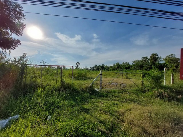 ขายด่วน  ที่ดิน เพชรบุรี เยี่ยงโรบินสัน 4 ไร่  ถมแล้ว ติดถนนเพชรเกษม สายหลักลงภาคใต้