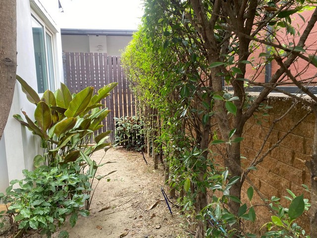 ขายบ้านเดี่ยว  ซอยอ่อนนุช65   โครงการ โกลเด้นนีโอ อ่อนนุช-พัฒนาการ ขนาด 44.7 ตารางวา พื้นที่บ้าน 139 ตารางเมตร พร้อมเฟอร์นิเจอร์