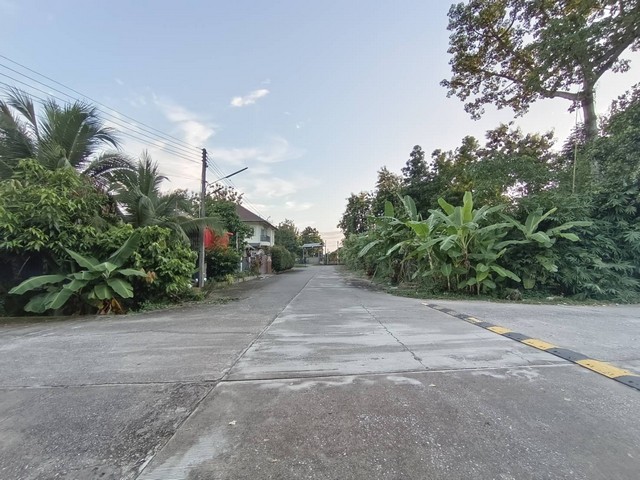 ขายที่ดิน อำเภอหางดง จังหวัดเชียงใหม่ เนื้อที่ 306 ตารางวา