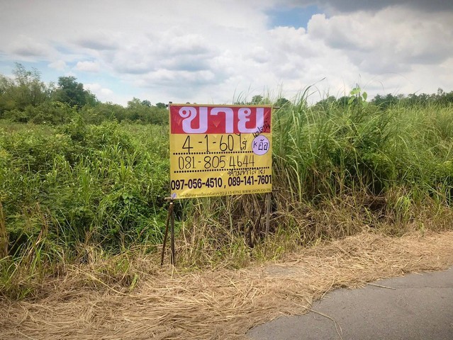 ขายที่ดินทำเลดี ใกล้ถนนเส้น347 ขาเข้ากรุงเทพ  เนื้อที่ 4-1-60 ไร่  บางปะหัน  อยุธยา   ZW463