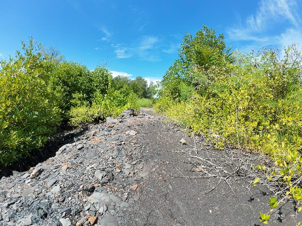 ขาย ที่ดิน พร้อมบ้าน แปลงสวย ติดทะเล ติดถนนเฉลิมบูรพาชลทิศ บางกะไชย แหลมสิงห์ จันทบุรี