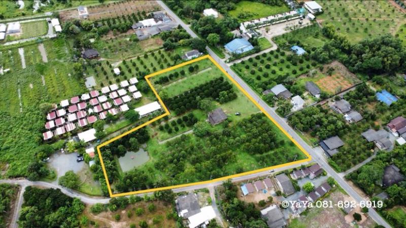 ขาย สวนทุเรียน สวนมังคุด 10-0-92.9 ไร่ ซอยดาวเรือง ต.พลับพลา อ.เมืองจันทบุรี