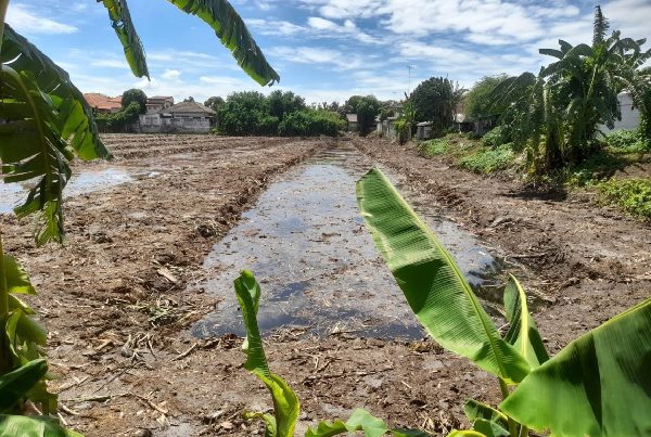 ขายที่ดิน ติดถนน ต.ไผ่จำศิล อ.วิเศษชัยชาญ จ.อ่างทอง