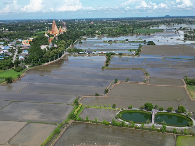 ขายถูกเพียง 2,125 บาทต่อวา ที่ดินวิวสสวย ใกล้เเหล่วงท่องเที่ยววัดถ้ำเสือ