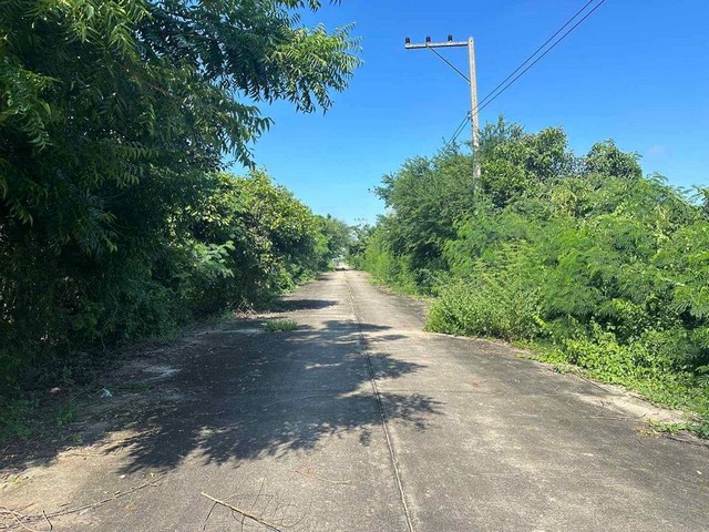 ที่ดินคลองสิบเอ็ด หนองเสือ ติดถนนคอนกรีต น้ำไฟหน้าแปลง ขนาด 100 ตรว. ราคา 390,000 บาท