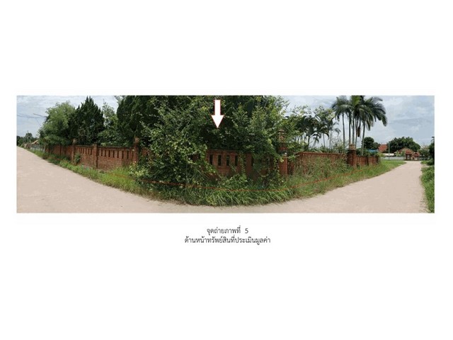 ขายบ้านเดี่ยวมือสอง อำเภอพาน  จังหวัดเชียงราย