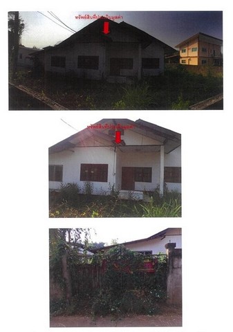 ขายบ้านเดี่ยวมือสอง อำเภอแม่สาย  จังหวัดเชียงราย