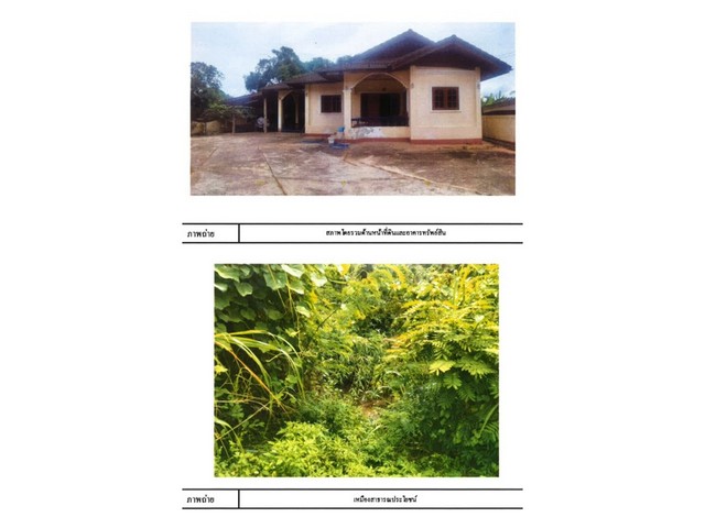 ขายบ้านเดี่ยวมือสอง อำเภอแม่สรวย จังหวัดเชียงราย โครงการ ห้วยหมอเฒ่า