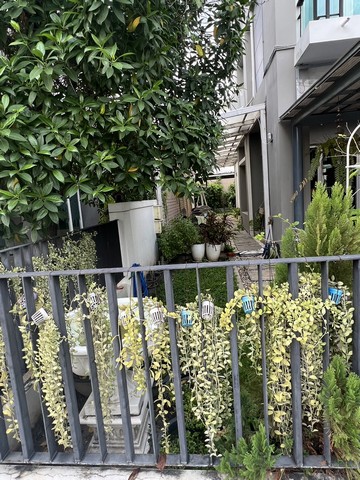 รหัสทรัพย์ R3191 ให้เช่า บ้านแฝด 3ชั้น หมู่บ้านชวนชื่นโมดัส วิภาวดี รังสิต ดอนเมือง