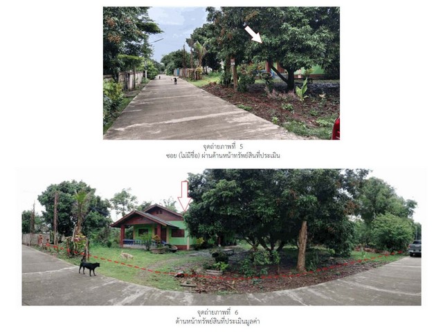 ขายบ้านเดี่ยวมือสอง อำเภอแม่สรวย จังหวัดเชียงราย