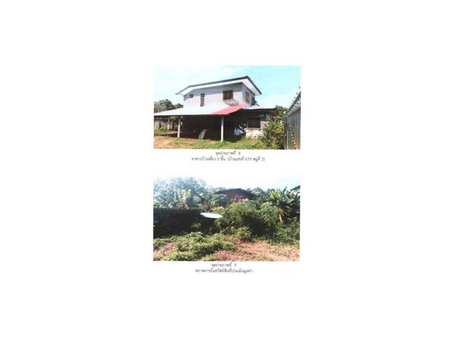 ขายบ้านเดี่ยวมือสอง อำเภอเชียงแสน จังหวัดเชียงราย