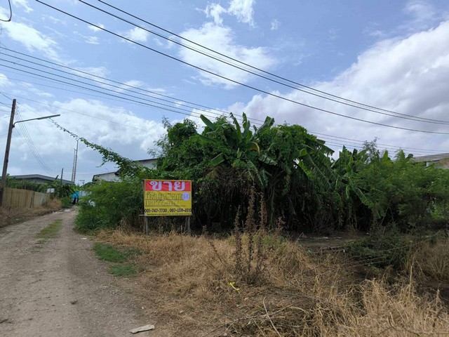 ขายที่ดิน 267 ตร.ว. สวนหลวงซอย 15 ต.สวนหลวง อ.กระทุ่มแบน จ.สมุทรสาคร   ZB073 