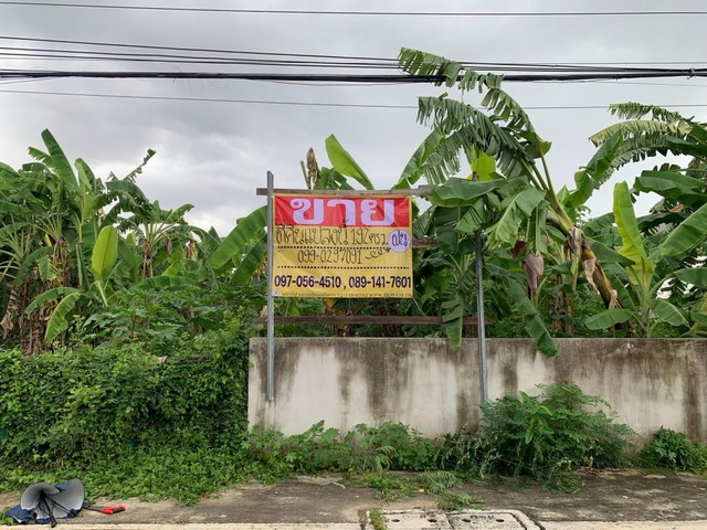 ขายที่ดินรามอินทรา สวยมากๆ ทำเลดี เนื้อที่ 192 ตร.วา รูปแปลงสี่เหลี่ยมสวย ล้อมรั้วแล้วถมแล้ว หมู่บ้านสวัสดิการทหาร รามอินทรา61 แยก14   ZB071