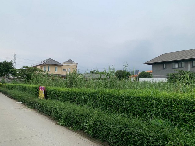 ขายที่ดินบางแก้ว บางนา กม.7 สวยมากๆ ทำเลดี เนื้อที่ 189 ตร.วา ใกล้เมกาบางนา รูปแปลงสี่เหลี่ยมสวย  ZB070