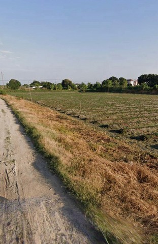 ขายที่ดิน ต.ศีรษะจรเข้น้อย อ.บางพลี จ. สมุทรปราการ 48 ไร่