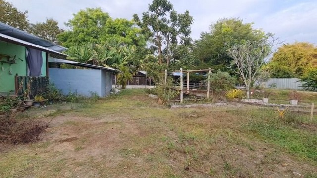 ขายด่วน #ที่ดินใกล้ราชภัฏเชียงใหม่ (แม่แตง) ที่ดินพร้อมสิ่งปลูกสร้าง