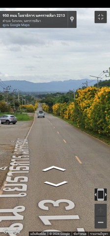 ขายด่วน ที่ดิน เขาใหญ่  8-1-79 ไร่ ต. วังกะทะ  ปากช่อง ทำเลดี ติดกับโครงการเคนซิงตัน  เส้น 2213