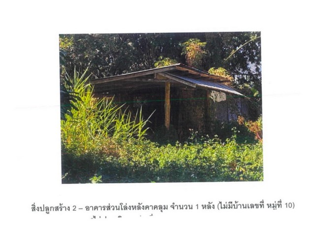 ขายบ้านเดี่ยวมือสอง อำเภอเวียงป่าเป้า  จังหวัดเชียงราย