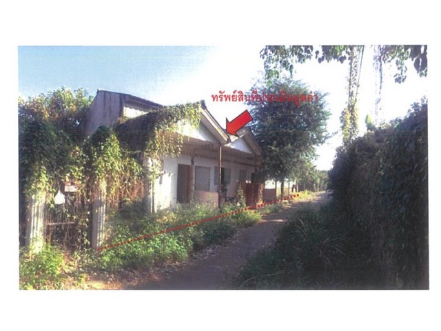   Code ID : PGCRI-LB-A-660012  ราคา  2,350,000  บาท ▸ เนื้อที่ 1 งาน 8 ตร.ว   พื้นที่ใช้สอย 322 ตร.ม.   ▸ 7 ห้องนอน 7 ห้องน้ำ    ▸ 1 ที่จอดรถ   บ้านหันไปทางทิศใต้  พิกัดทรัพย์ :  https://maps.app.goo.gl/o1npyv56FdZiWhzB7  สถานที่ใกล้เคียง ▸ใกล้  โรงพยาบาลเชียงแสน ▸ใกล้  ตลาดใหม่ของเชียงแสนแห่งที่ 2 ▸ใกล้  วัดเจดีย์หลวง เชียงแสน   ▸ใกล้  PTT Station ปตท.เชียงแสน  สอบถามเพิ่มเติม / นัดชม โทร. 097-419-5982(พลอย) โทร. 096-932-4624(ออมสิน) Line : @panaya (มี@ด้านหน้า)  ปรึกษาสินเช�