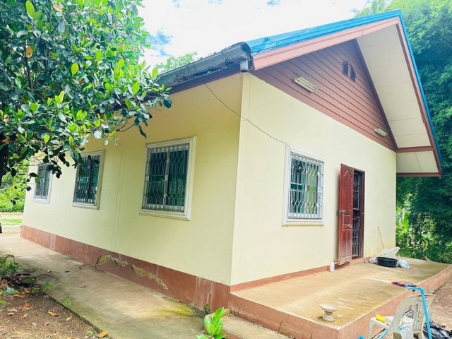 ขายบ้านพร้อมที่ดิน ต.กุดป่อง อ.เมืองเลย จ.เลย  3 งาน 40 ตารางวา