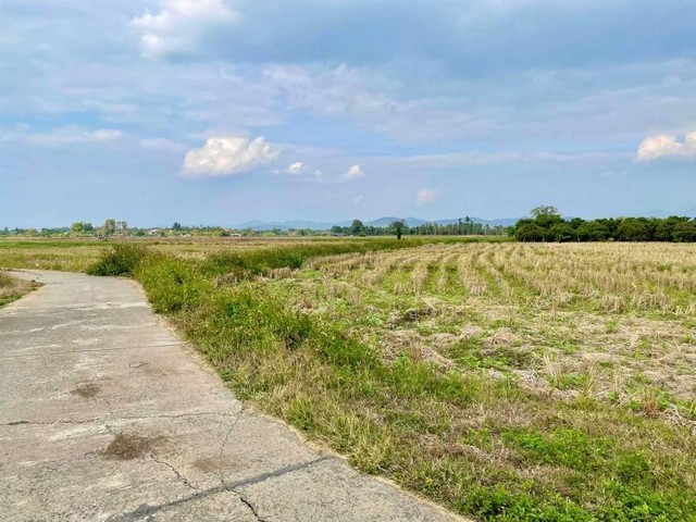 ขายที่ดิน 12 ไร่ 3 งานnตำบลแม่ฮ้อยเงิน อำเภอดอยสะเก็ด เชียงใหม่