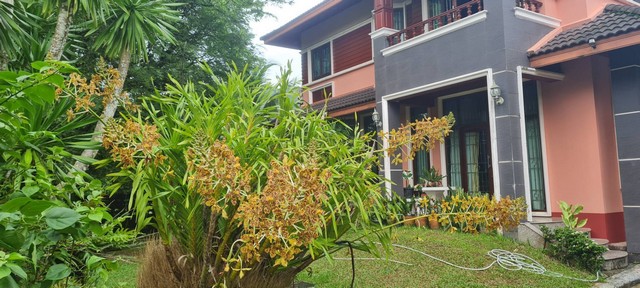 ขายบ้านเดี่ยวพร้อมสิ่งปลูกสร้างอื่นๆ บรรยากาศร่มรื่นแบบธรรมชาติ​สงบ​ร่มเย็น​ ไม่มีมลพิษรบกวน อยู่ในตัวเมืองระนอง เยื้องบิ๊กซีระนอง อำเภอเมืองระนอง จังหวัดระนองที่ตั้ง : บ้านเลขที่​88/11 ซอยหลุมถ่าน​2​ (ซอยเจ็ดท่อ)​ถนนเพชรเกษม​หมู่ที่​4   ตำบลบางนอน​อำเภอเมืองระนอง จังหวัดระนอง 85000พิกัด : https://goo.gl/maps/neXgvT4qVPZEAqCN9ขนาดพื้นที่ : 644 ตารางวา​(โฉนดที่ดิน)​รายละเอียด :    บ้านเดี