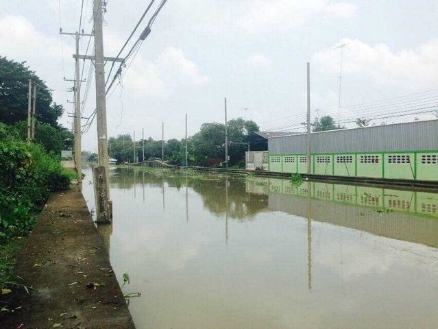 ขายที่ดินติดคลองดำเนินสะดวกราชบุรี พร้อมสิ่งปลูกสร้าง