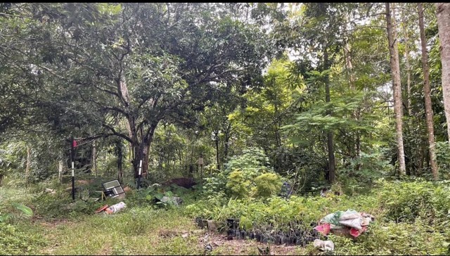 ขายที่ดิน 22 ไร่ 2 งาน 45 ตารางวา ตำบลเขาบายศรี อำเภอท่าใหม่  จังหวัดจันทบุรี