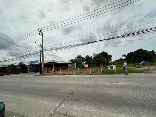 ขาย ที่ดิน ขนาด 1 งาน  ตลาด บางใหญ่ นนทบุรี ใกล้ถ.กาญจนาภิเษก