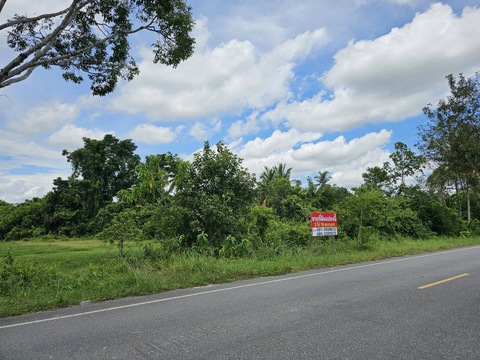 Sub1215ขายที่ดิน ใกล้ รร.บางแก้วพิทยาคม อ.บางแก้ว จ.พัทลุง ขนาด  3 ไร่ 16 ตรว.ที่ดินอยู่ติดถนนที่อยู่ ต.โคกสัก อำเภอ บางแก้ว จังหวัด พัทลุง ใกล้โรงเรียนบางแก้วพิทยาคม 1 กิโลใกล้สถานีรถไฟบางแก้ว 2 กิโลใกล้ โรงพยาบาลบางแก้ว 3 กิโลใกล้ เทศบาลตำบลบางแก้ว 4 กิโลใกล้แหล่งท่องเที่ยว ธารน้ำหูแร่ พัทลุง 4 กิโลห่างจาก โรงแรมหาดทองรีสอร์ท 15 กิโลห่างจาก อำเภอปากพะยูน 27 โลตั้งไว้ 1.39 