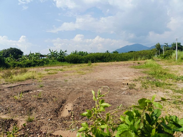 CK166ขายที่ดินถมแล้วใกล้ทะเลหาดแม่รำพึงเพียง 1.4 กม.เท่านั้น วิวเขา ติดถนนสาธารณะ หน้ากว้างติดถนน 41 เมตร ลึก 33 เมตรเนื้อที่ 343 ตารางวาห่างถนนเส้นในชาก-ในไร่ 145 เมตรต.เพ อ.เมือง จ.ระยองขายในราคา ตารางวาละ 9,500 บาท สนใจสอบถาม  0618192224 คุณขิง เน้นโทรและไลน์ 0958134978  คุณต่อ ไอดีไลน์ toor252525