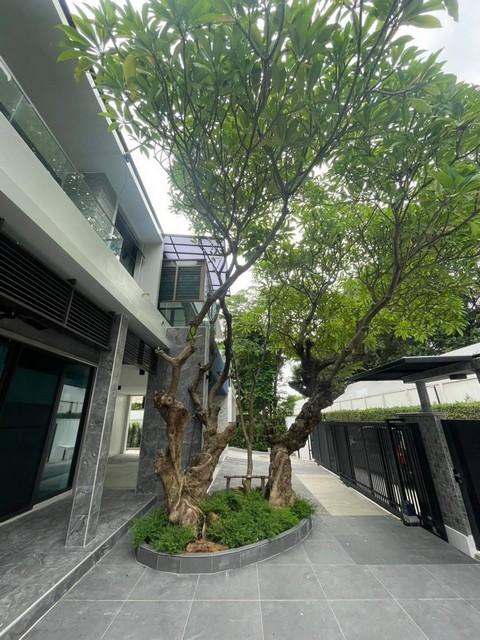 ขายบ้านเดี่ยว 2 ชั้น 118 ตรว. โครงการลดาวัลย์ เกษตร-นวมินทร์ ถนนลาดปลาเค้า รีโนเวทใหม่ ใกล้ Central รามอินทรา ใกล้ MRT ลาดปลาเค้า