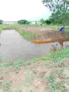 ขายด่วนที่ดินเปล่า ทำเลทอง  ใกล้ราชมงคลธัญบุรี 6.  อ.คลองหลวง จ. ปทุมธานี